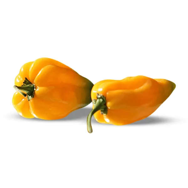 Big Sun Habanero Pepper Seeds