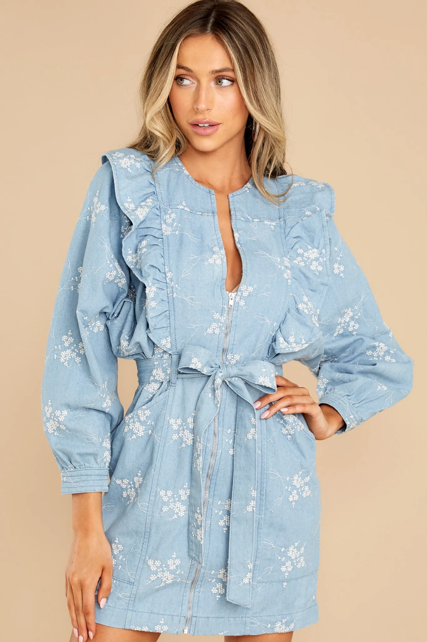 My Lucky Star Floral Embroidered Denim Dress